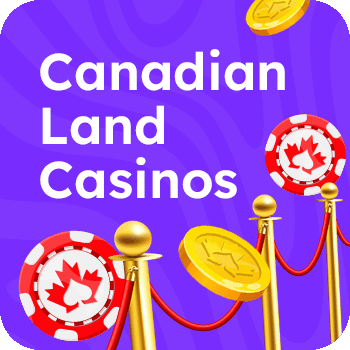 The Best Land Casinos in  Image